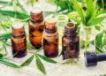 Aceite de Cannabis