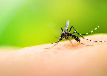 Rosario: murió un hombre por dengue