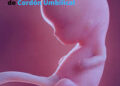 Donar para quien lo necesite