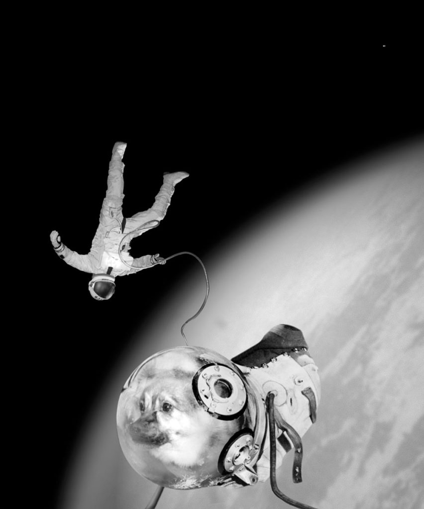 Istochnikov. Joan Fontcuberta, VEGAP, Málaga, 2022